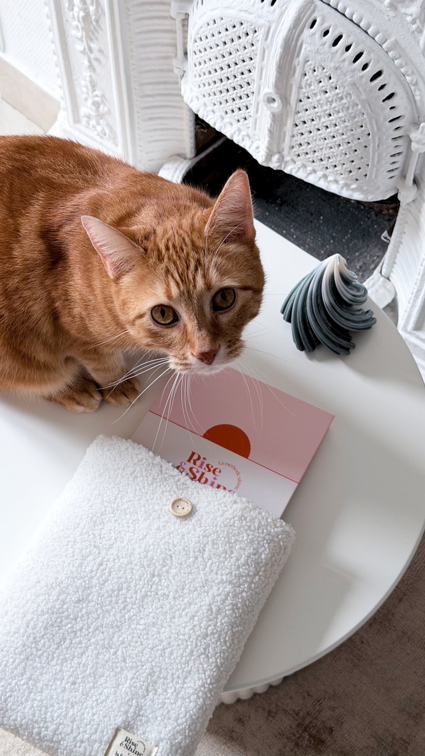 La pochette La Fabrique de Marie x Rise&Shine (édition limitée)